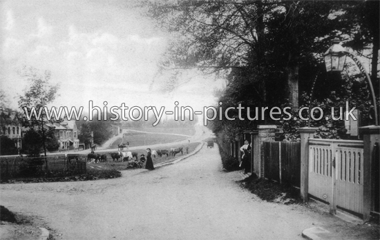 The Village Green, Epping, Essex. c.1906